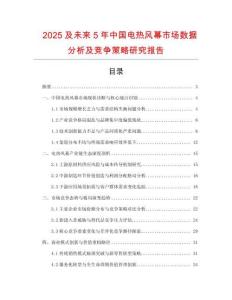 2025及未來5年中國電熱風幕市場數(shù)據(jù)分析及競爭策略研究報告