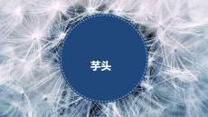 《芋頭》美術(shù)教育PPT繪畫課件創(chuàng)意教程教案