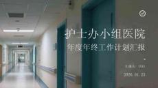 護(hù)士辦小組醫(yī)院年度年終工作計(jì)劃匯報(bào)