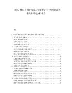 2025-2030中國零售商業(yè)行業(yè)數(shù)字化轉(zhuǎn)型及運(yùn)營效率提升研究分析報(bào)告