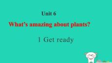 2025秋四年級英語上冊Unit6plants1Getready習題pptx課件滬教版