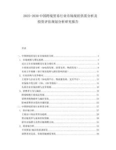 2025-2030中國跨境貿(mào)易行業(yè)市場現(xiàn)狀供需分析及投資評估規(guī)劃分析研究報(bào)告