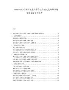 2025-2030中國跨境電商平臺運(yùn)營模式及海外市場拓展策略研究報(bào)告