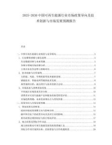 2025-2030中國可再生能源行業(yè)市場政策導向及技術創(chuàng)新與市場發(fā)展預測報告