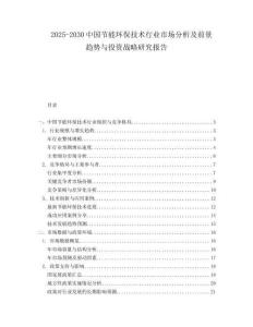 2025-2030中國(guó)節(jié)能環(huán)保技術(shù)行業(yè)市場(chǎng)分析及前景趨勢(shì)與投資戰(zhàn)略研究報(bào)告