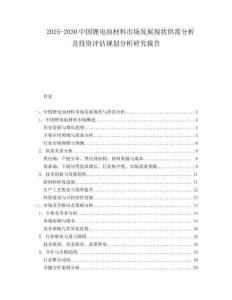 2025-2030中國鋰電池材料市場發(fā)展現狀供需分析及投資評估規(guī)劃分析研究報告