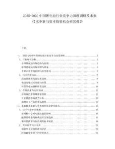 2025-2030中國鋰電池行業(yè)競爭力深度調(diào)研及未來技術(shù)革新與資本投資機會研究報告