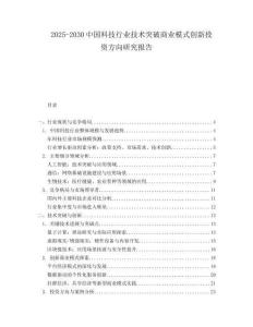 2025-2030中國科技行業(yè)技術(shù)突破商業(yè)模式創(chuàng)新投資方向研究報告