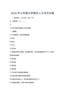 2025年九年級化學期末人才濟濟試卷