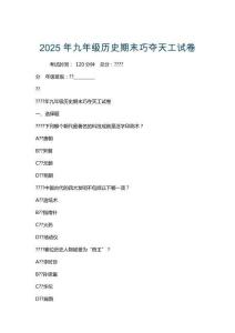 2025年九年级历史期末巧夺天工试卷