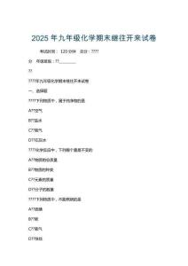 2025年九年級化學期末繼往開來試卷