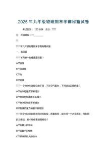 2025年九年級物理期末學霸秘籍試卷