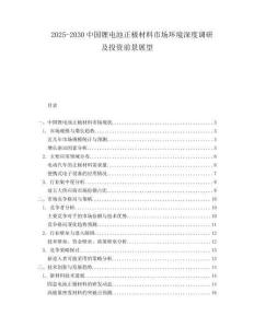 2025-2030中國鋰電池正極材料市場環(huán)境深度調(diào)研及投資前景展望