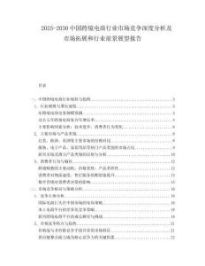 2025-2030中國跨境電商行業市場競爭深度分析及市場拓展和行業前景展望報告