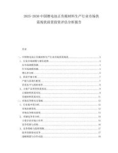 2025-2030中國鋰電池正負極材料生產(chǎn)行業(yè)市場供需現(xiàn)狀前景投資評估分析報告