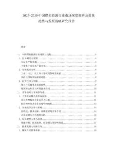 2025-2030中國煤炭能源行業(yè)市場深度調研及前景趨勢與發(fā)展戰(zhàn)略研究報告