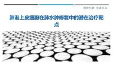 肺泡上皮細(xì)胞在肺水腫修復(fù)中的潛在治療靶點