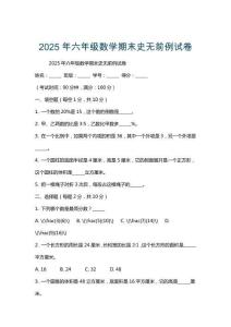 2025年六年級數學期末史無前例試卷