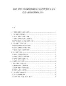 2025-2030中國煤炭能源行業(yè)市場深度調研及發(fā)展趨勢與投資前景研究報告