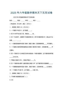 2025年六年級數(shù)學期末天下無雙試卷