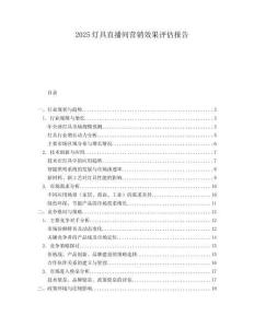 2025燈具直播間營(yíng)銷(xiāo)效果評(píng)估報(bào)告