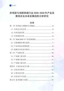 炸雞架與雞柳串燒行業(yè)2026-2030年產(chǎn)業(yè)發(fā)展現(xiàn)狀及未來發(fā)展趨勢分析研究