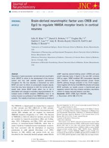 Brain-derived neurotrophic factor uses CREB and Egr3 to regulate NMDA receptor levels in cortical neurons.x