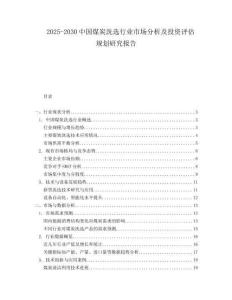 2025-2030中國煤炭洗選行業市場分析及投資評估規劃研究報告