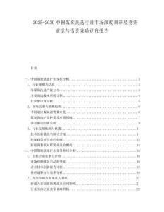 2025-2030中國煤炭洗選行業(yè)市場深度調(diào)研及投資前景與投資策略研究報告