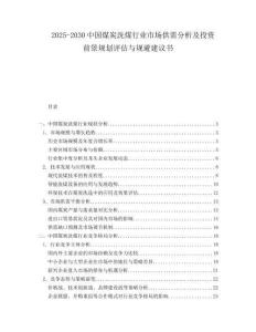 2025-2030中國煤炭洗煤行業(yè)市場供需分析及投資前景規(guī)劃評估與規(guī)避建議書