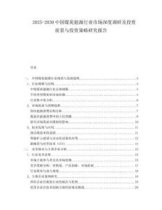 2025-2030中國煤炭能源行業(yè)市場深度調(diào)研及投資前景與投資策略研究報(bào)告