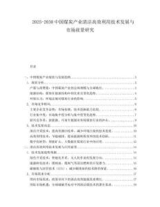2025-2030中國煤炭產(chǎn)業(yè)清潔高效利用技術(shù)發(fā)展與市場(chǎng)前景研究
