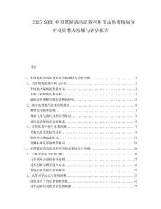 2025-2030中國煤炭清潔高效利用市場(chǎng)供需格局分析投資潛力發(fā)展與評(píng)估報(bào)告