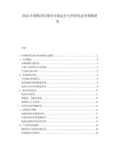 2025中國吸頂燈細(xì)分市場定位與差異化競爭策略研究