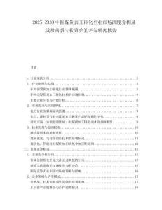 2025-2030中國煤炭加工轉(zhuǎn)化行業(yè)市場深度分析及發(fā)展前景與投資價值評估研究報告