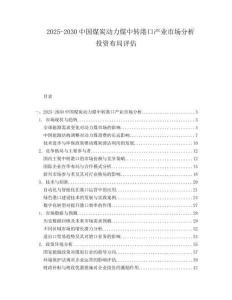 2025-2030中國煤炭動力煤中轉(zhuǎn)港口產(chǎn)業(yè)市場分析投資布局評估