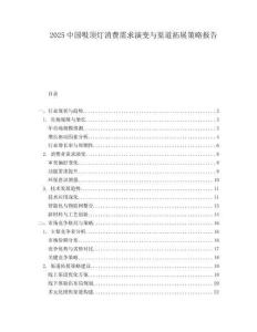 2025中國(guó)吸頂燈消費(fèi)需求演變與渠道拓展策略報(bào)告