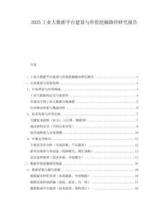 2025工業(yè)大數(shù)據(jù)平臺建設(shè)與價(jià)值挖掘路徑研究報(bào)告