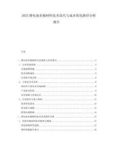 2025鋰電池負(fù)極材料技術(shù)迭代與成本優(yōu)化路徑分析報(bào)告