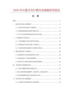 2026年中國冷光燈管市場調查研究報告