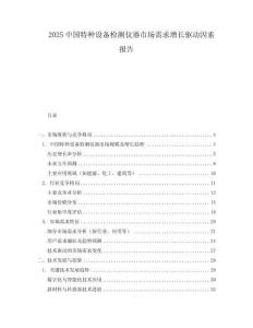 2025中國特種設(shè)備檢測儀器市場需求增長驅(qū)動(dòng)因素報(bào)告