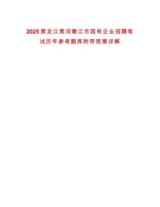 2025黑龍江黑河嫩江市國有企業(yè)招聘筆試歷年參考題庫附帶答案詳解