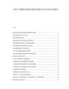 2025中國(guó)超導(dǎo)材料在強(qiáng)電領(lǐng)域應(yīng)用可行性評(píng)估報(bào)告