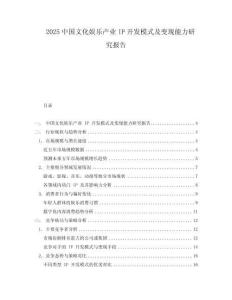 2025中國(guó)文化娛樂(lè)產(chǎn)業(yè)IP開發(fā)模式及變現(xiàn)能力研究報(bào)告