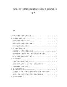 2025中國云計算服務市場運行態(tài)勢及投資價值分析報告