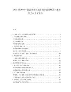 2025至2030中國流變改性劑市場經(jīng)營策略及未來投資方向分析報告