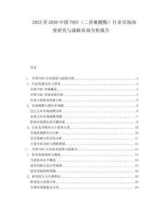2025至2030中國TODI（二異氰酸酯）行業(yè)市場深度研究與戰(zhàn)略咨詢分析報告