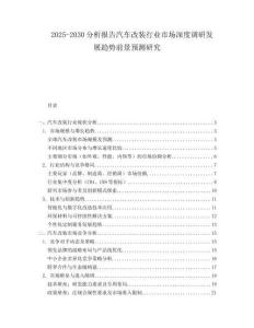 2025-2030分析報告汽車改裝行業(yè)市場深度調(diào)研發(fā)展趨勢前景預(yù)測研究