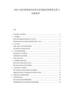 2025-2030格林納達私營企業(yè)金融支持政策完善與風險防控