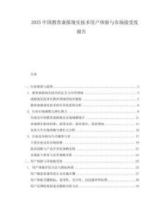 2025中國教育虛擬現實技術用戶體驗與市場接受度報告